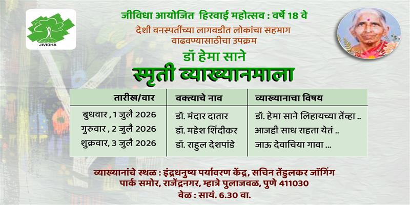 Digital Pune